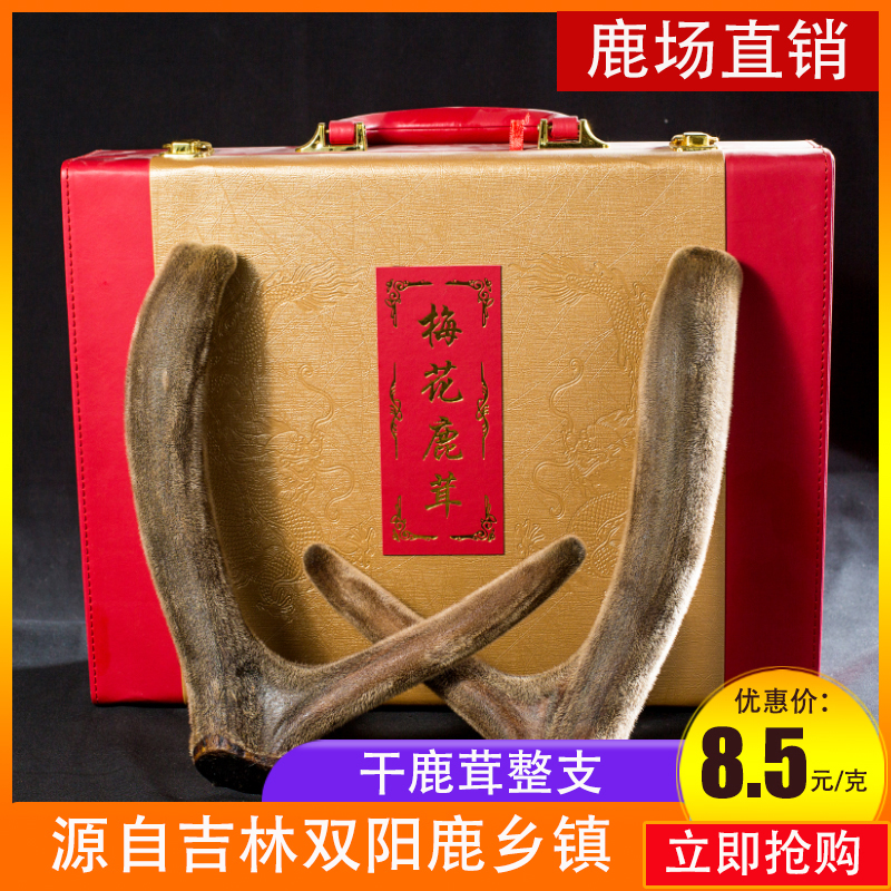 Jilin sika deer antler dried velvet antler bloodless deer antler authentic