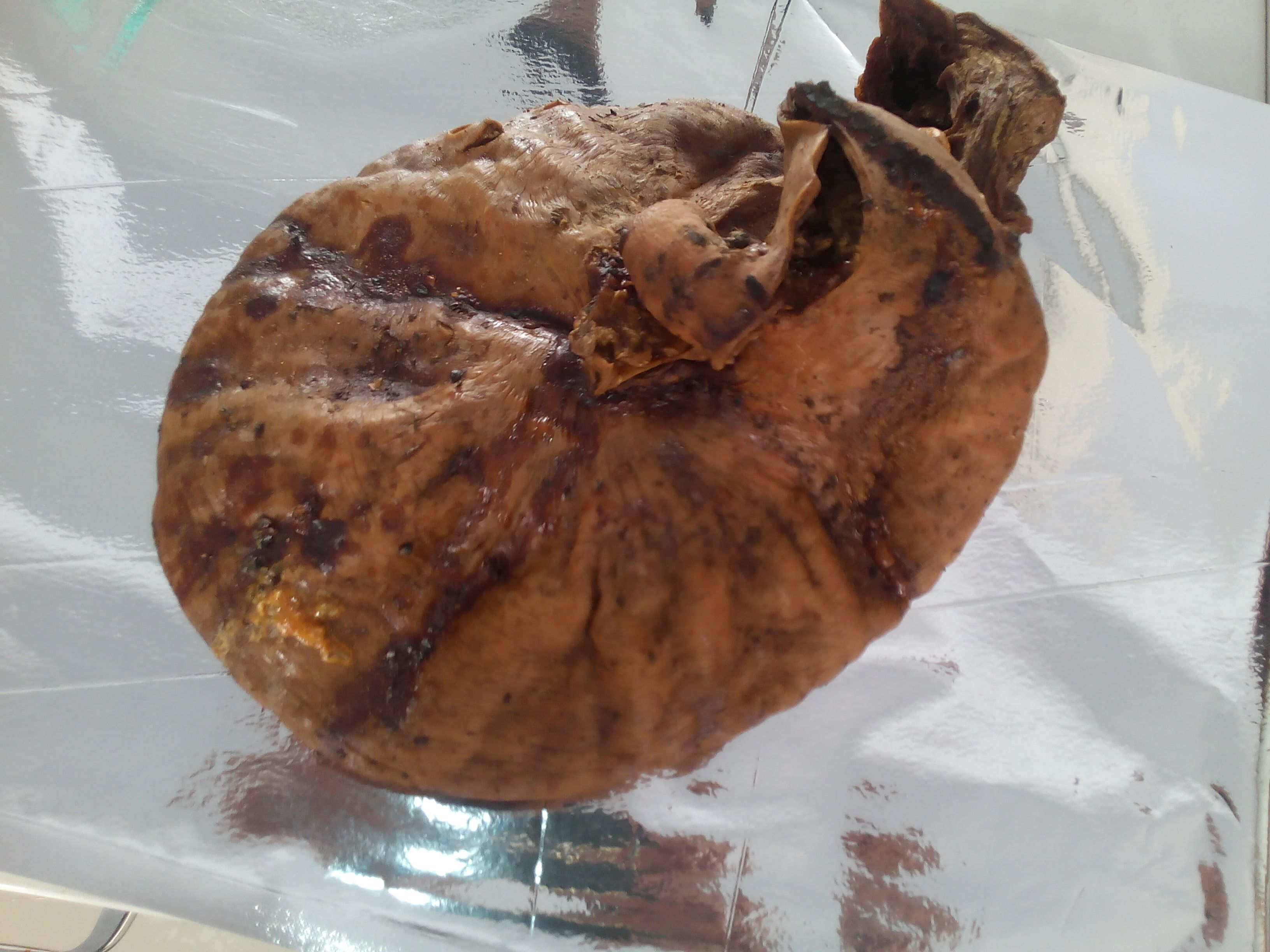 Jilin sika deer deer placenta whole deer placenta dry deer placenta deer placenta deer placenta deer placenta