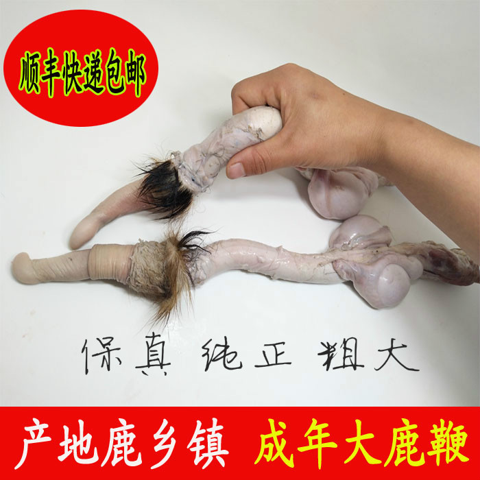 Jilin deer whip pruning fresh deer whip fresh deer whip 6 years adult deer whip