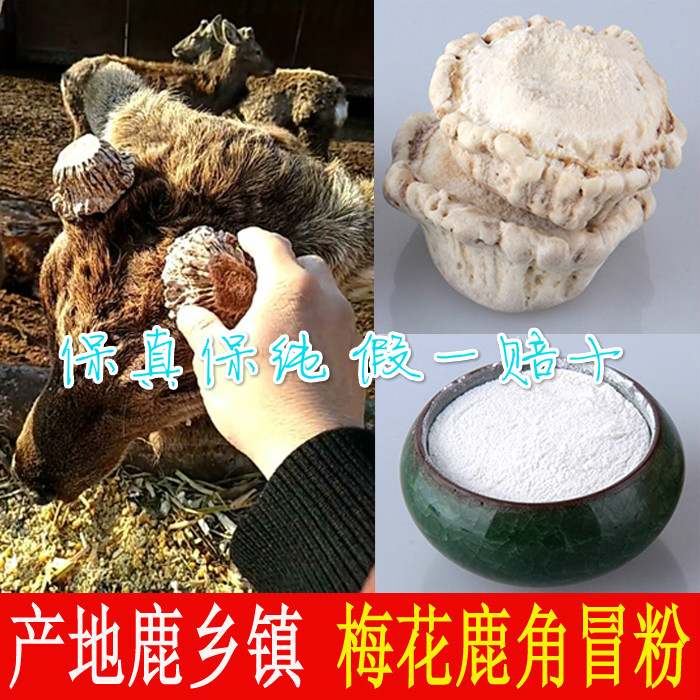 Jilin Mehua Deer Deer Deer Antlers Corner Cap High Purity No Impurities