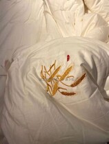 Dreamt long suede cotton wise warm barley fiber thick quilt 85682 warm winter quilted by double quilt core thickened cotton quilt