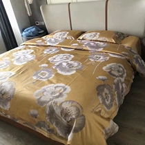 Dream Home Textiles New Xinjiang Long Suede Cotton Pure Cotton Color Weave Jacquard Bed Sheet Four Sets Light Extravagant 14122