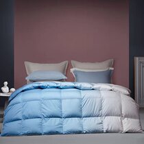 Dreamlike home spun net colorful 80S Johan silk shunned 95% Polish white goose down by imported duvet with special cabinet covets