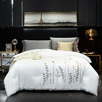 Yiluo ginger warm velvet cold quilt warm quilt core Solid color embroidery single double autumn and winter quilt four seasons universal thickening