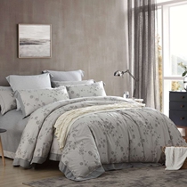 Dreamlike home spinning Amiya graphene jacquard four pieces of warm and bacteriostatic pro-skin flower quilt cover with wind sheets