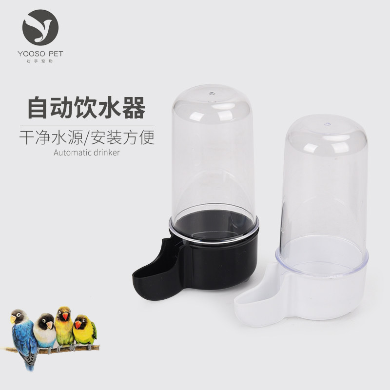 Tiger skin Peony bird drinking water dispenser Automatic feeding Feeding underwater feeder Bird utensils Kettle food box drinking water lunch box