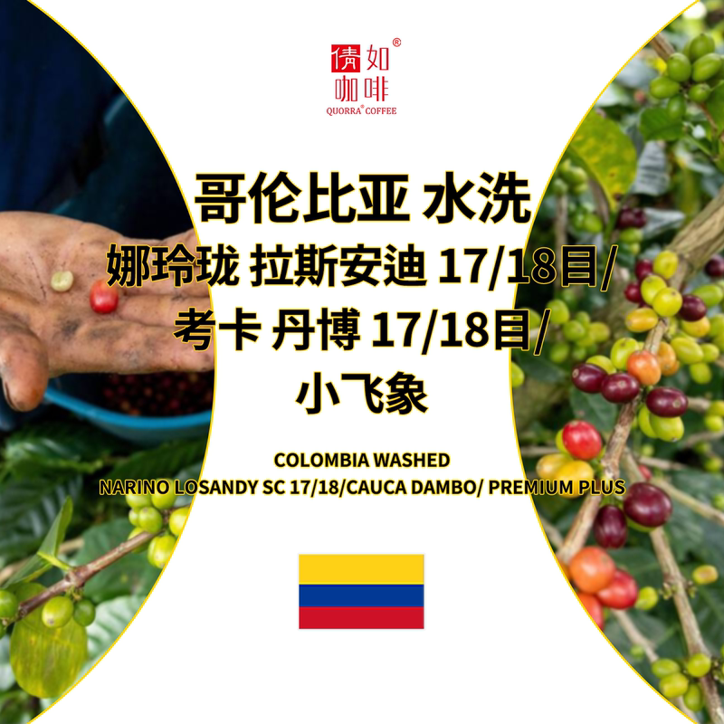 26Th Harvest Season Coffee Green Beans Colombia Nalinglong Las Andy/Cauca Dambó/Small Flying Elephant Washed 26Th Harvest Season Coffee Green Beans Colombia Nalinglong Las Andy/Cauca Dambó/Small Flying Elephant Washed