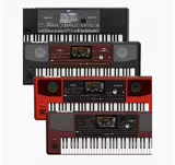 KORG Синтетическое автоматическое сопровождение Устроение клавиатуры PA700 1000 300 600 PA5X EK50 Электронное пианино
