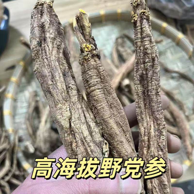 30年野生党参：甘肃中药材界的瑰宝，特级当参组合，黄芪当归煲汤秘籍大公开！-党参-淘宝百科网