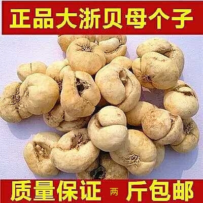 Sichuan scallop mother Zhejiang Sichuan scallop mother Zhejiang Scallop mother 500 grams of Chinese herbal medicine Sichuan Scallop mother soup Sichuan Scallop mother Youping shellfish Sichuan scallop mother