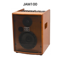 Schertler Shuttler JAM100 200 W Original sound folk Wooden Guitar Slingshot Sound Box