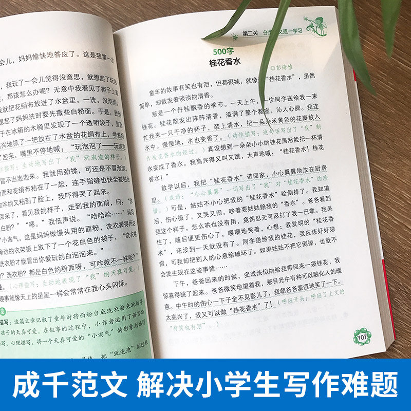 小学生优秀满分作文书 图3
