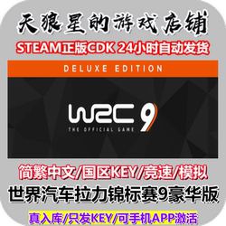 Steam/World Rally Championship 9 Deluxe Edition/Wrc 9 Deluxe Edition/China Region Key