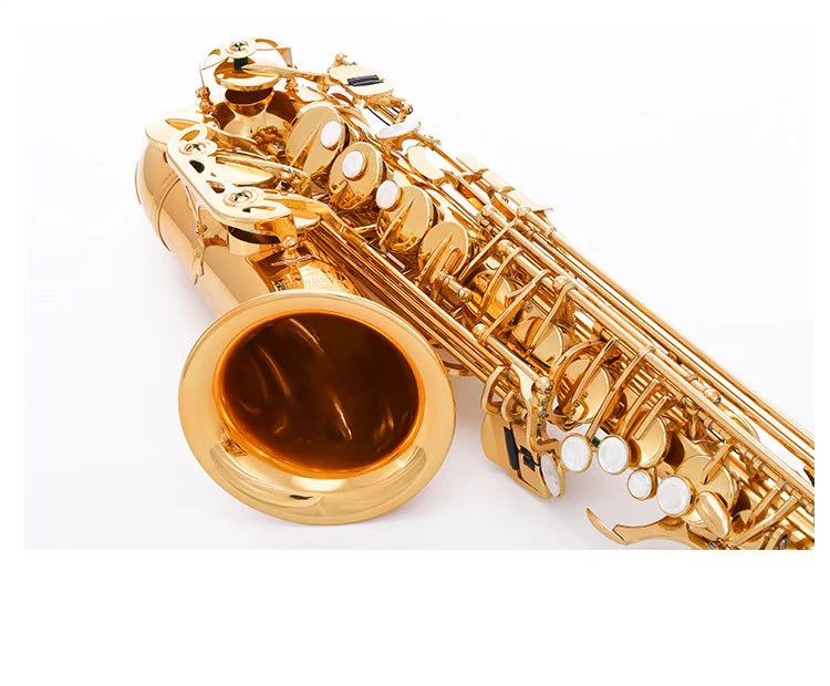 Nhạc cụ Saxophone Saxophone E-phẳng chính hãng [Nhạc cụ] - Nhạc cụ phương Tây