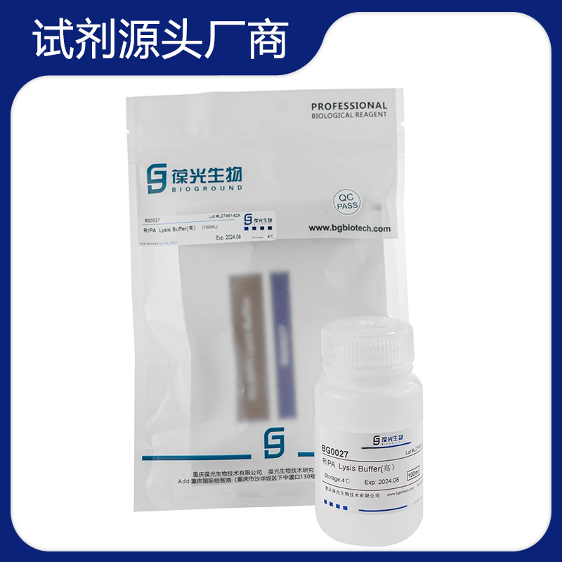 BG0027 RIPA Lysis Buffer 蛋白提取 高强度 组织细胞裂解液 葆光