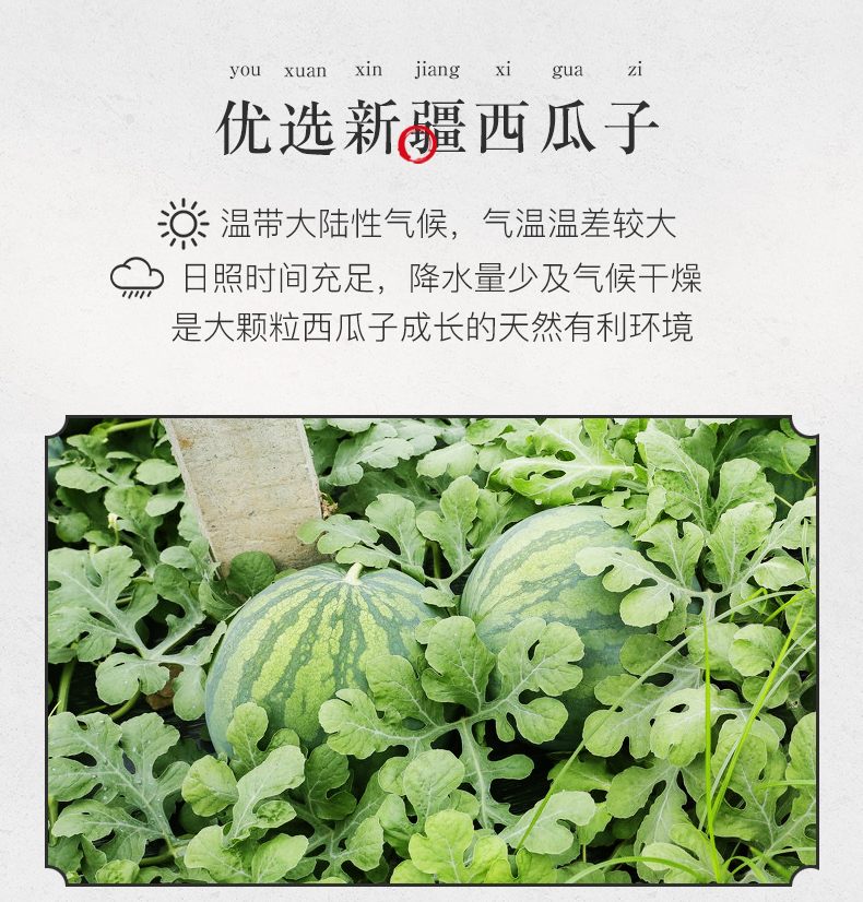 【中國直郵】姚生記 甘草味西瓜子125g