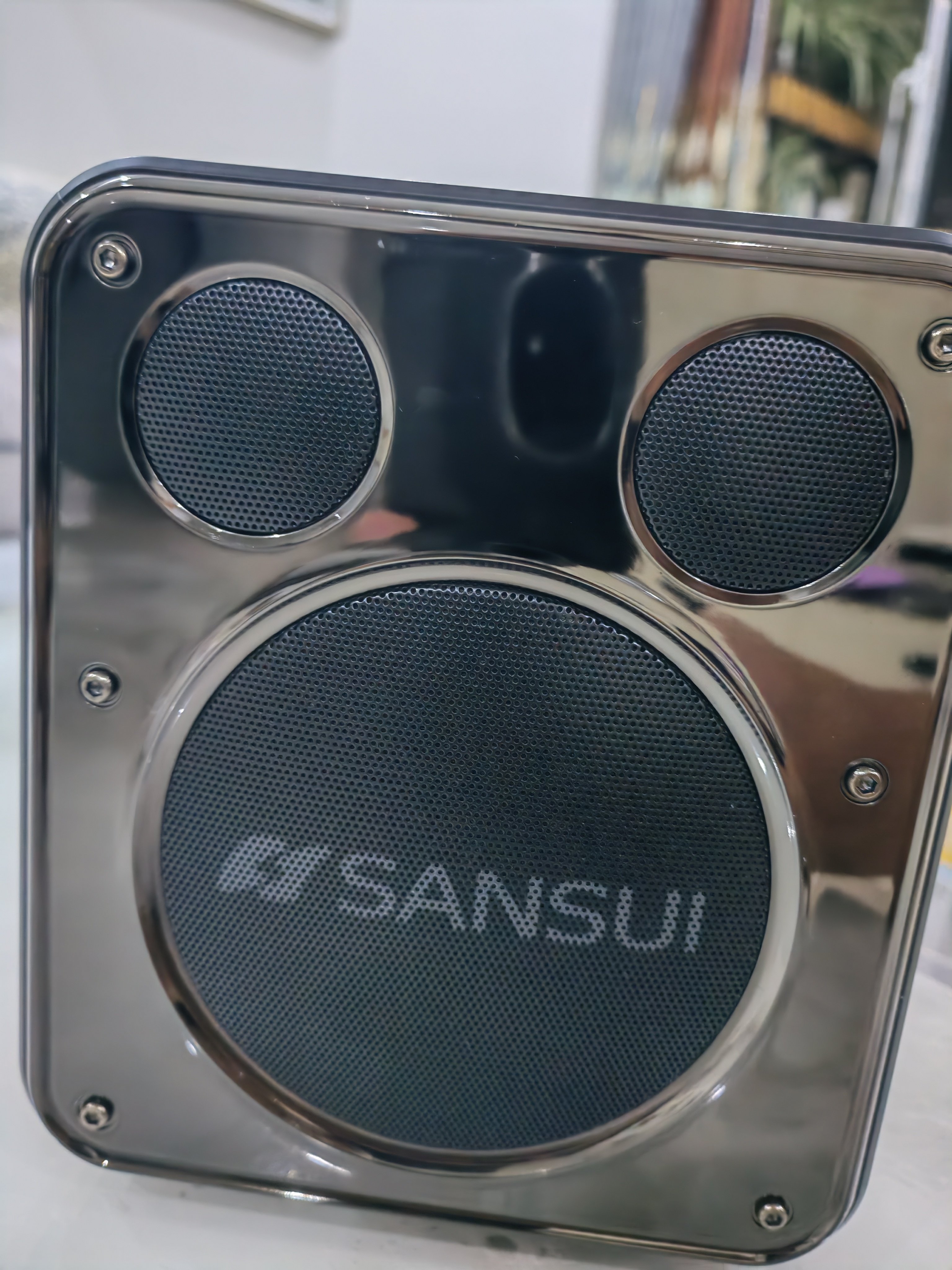 山水D71家用k歌音响2025新款户外广场舞蓝牙大功率音箱官方正品