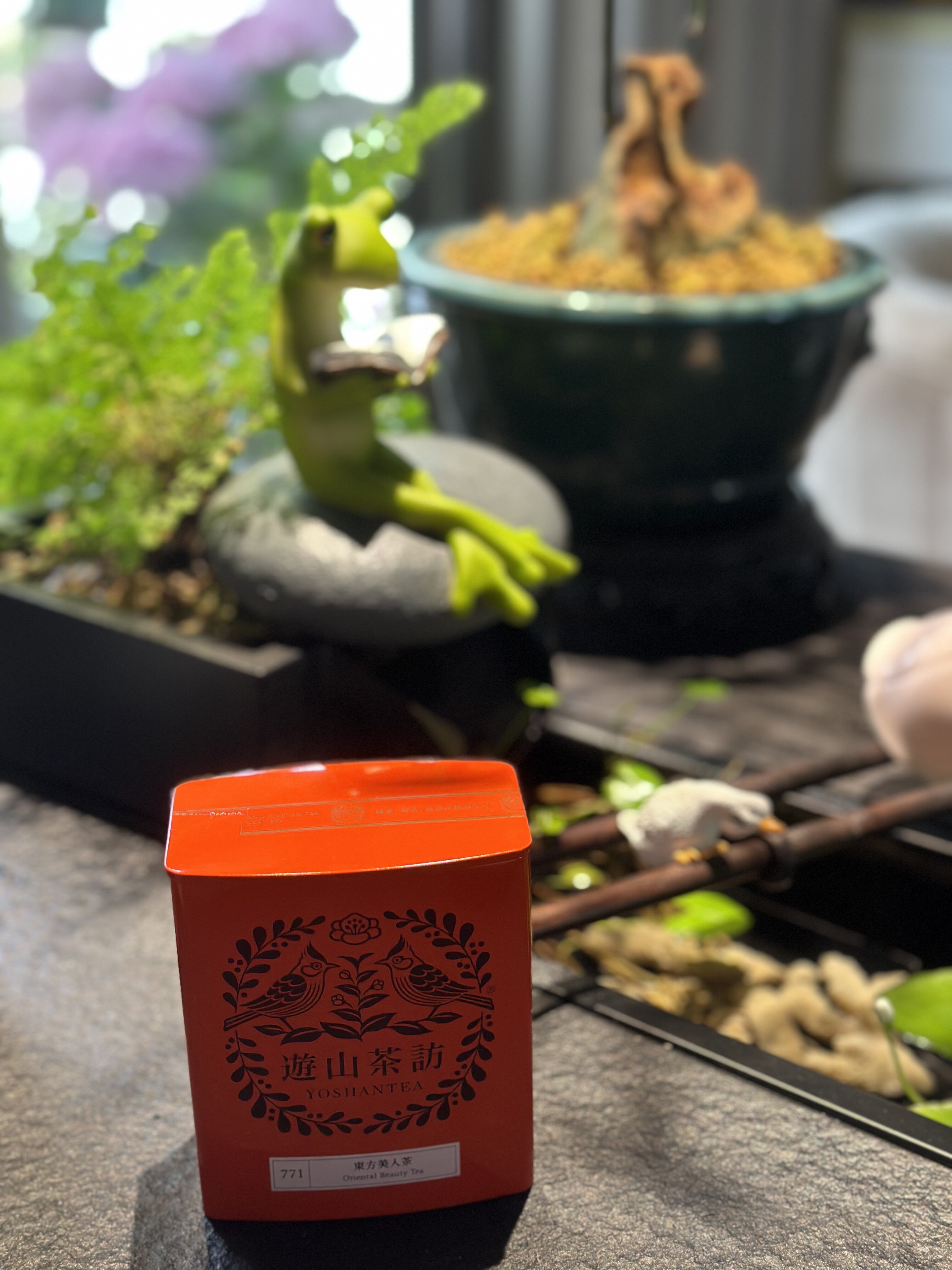 台湾高山东方美人茶游山茶访品牌红茶60克罐装台湾乌龙茶