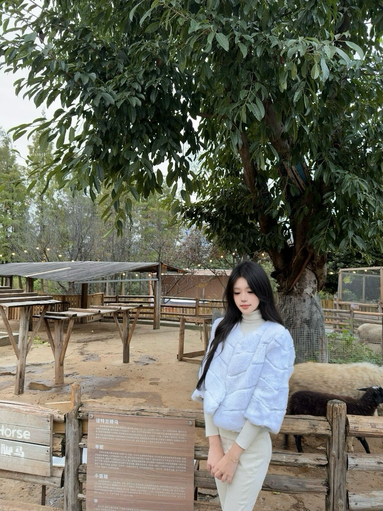 RUOYU若语半永久韩女裤 加绒修身设计保暖不臃肿 高腰小脚裤型拉长比例