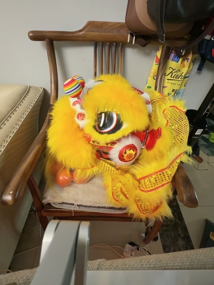 新型兒童舞獅10寸12寸泡沫舞獅頭獅子頭佛山醒獅表演道具雙人獅