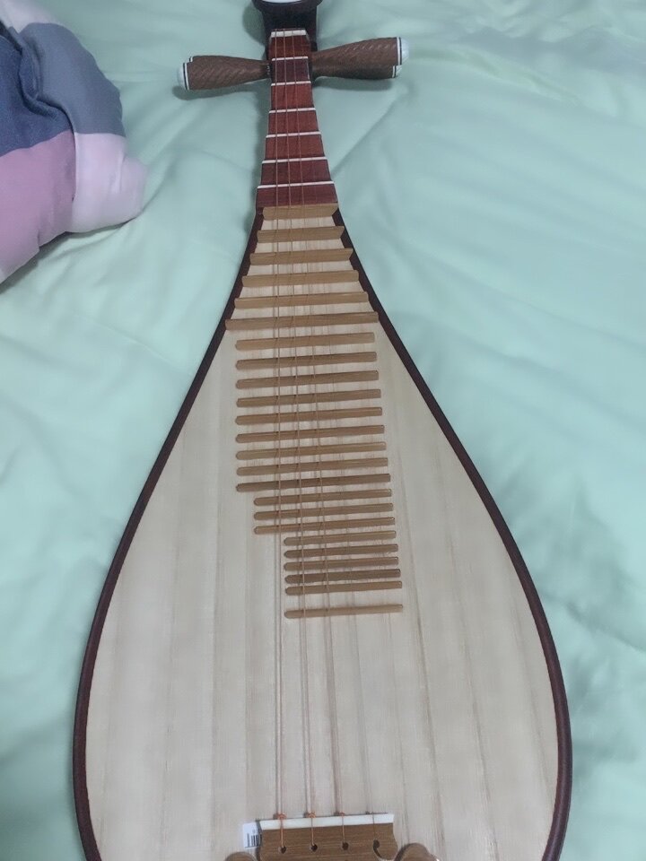 非洲紫檀木琵琶琵琶乐器初学者入门THE OCEAN OF MUSIC如意头琵琶设计