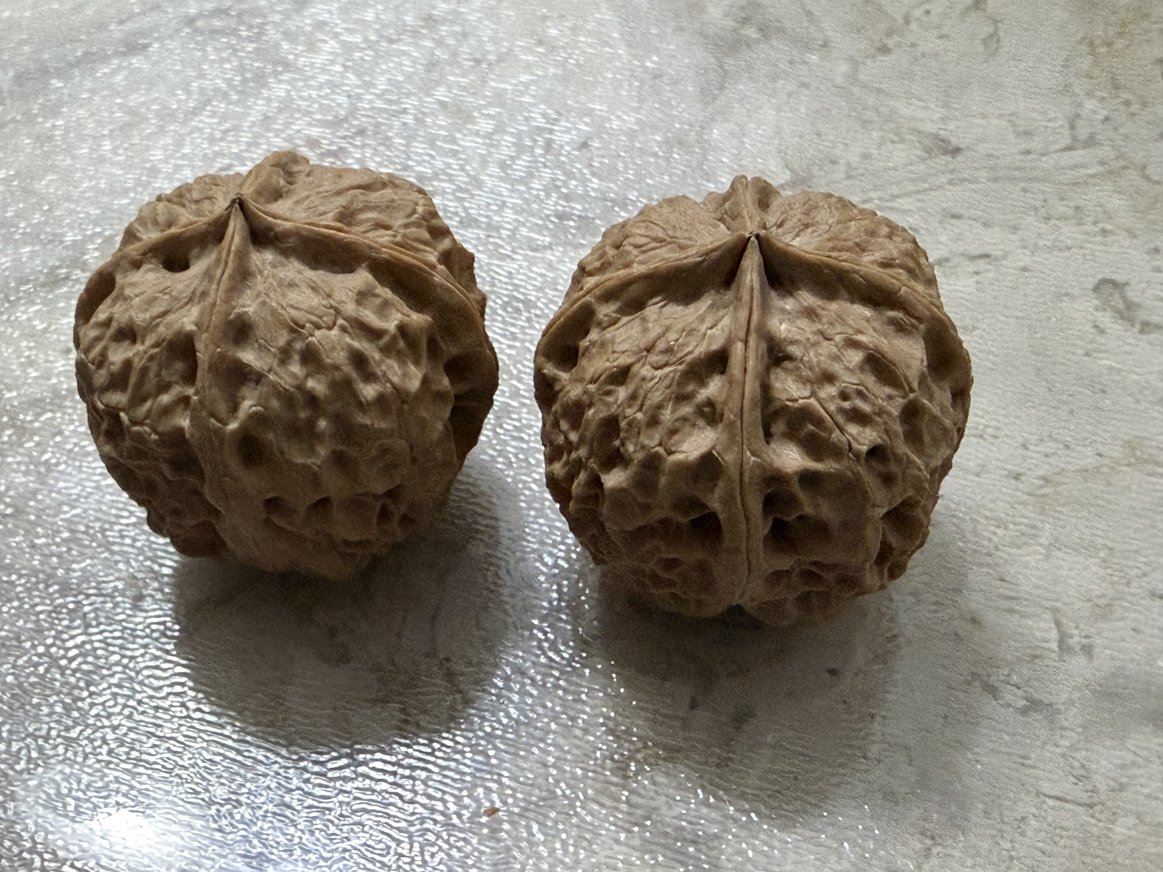 铁核桃：极品正三棱 文玩核桃批发]文玩核桃铁核桃三棱四棱价格5.00元/个- 一亩田