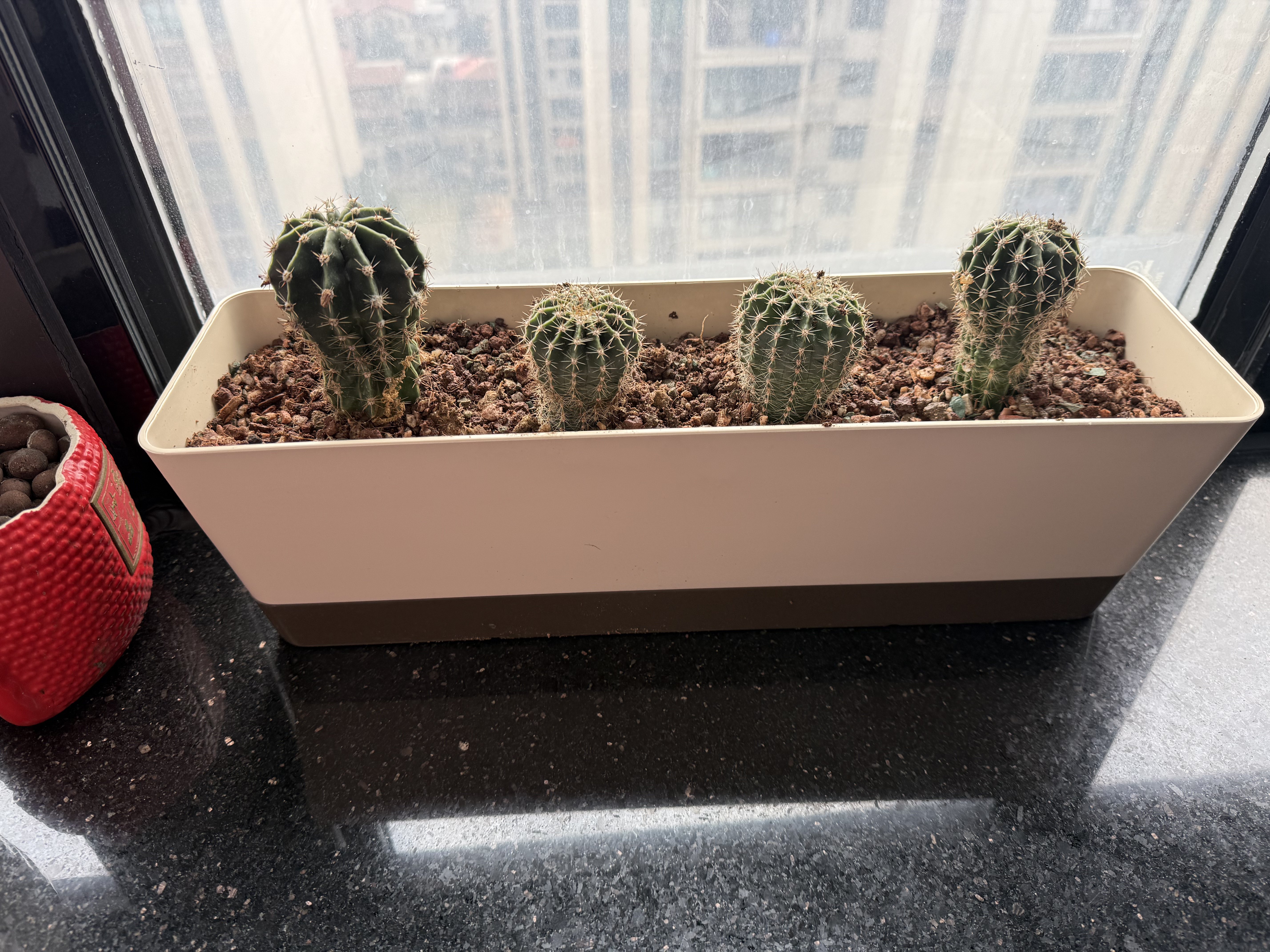 長條型多肉花盆專用窄邊細長窗臺種植塑料陽臺花盆盆栽