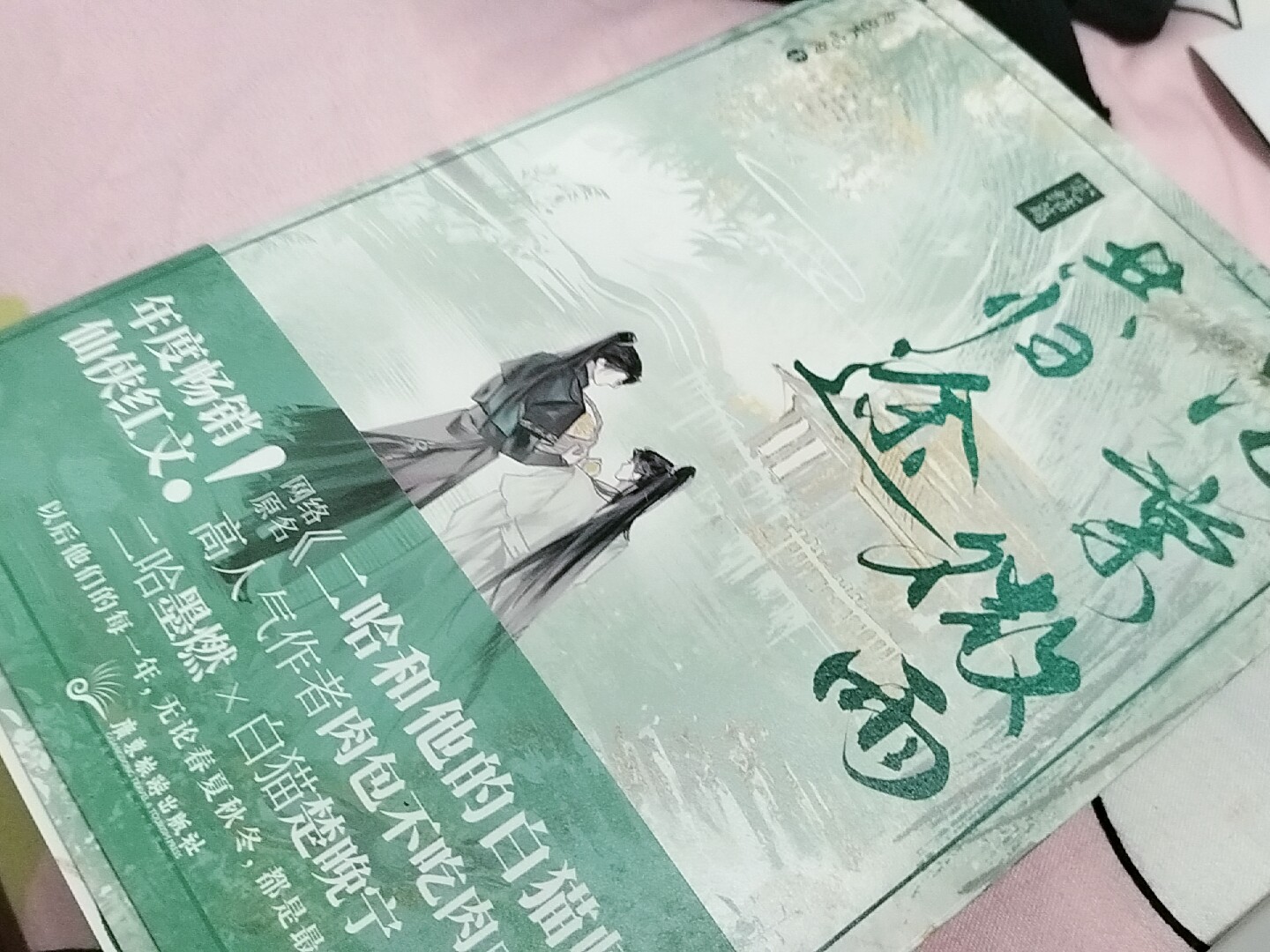 青春言情小说实体书海棠微雨共归途6肉包不吃肉新书-Taobao-Tmall