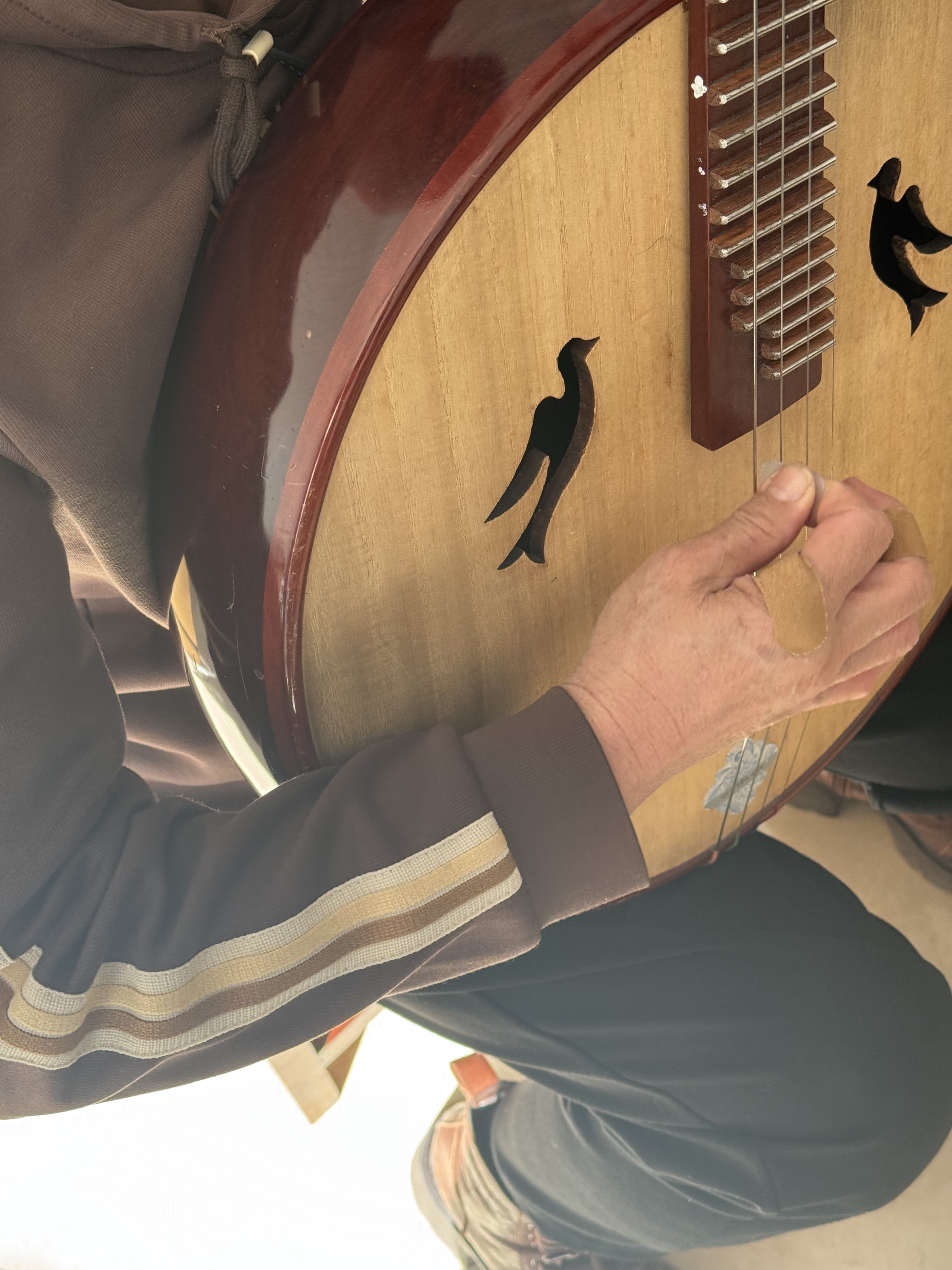 专业中阮乐器梧桐木制酸枝木中阮514Z 奥氏黄檀木材质钢品