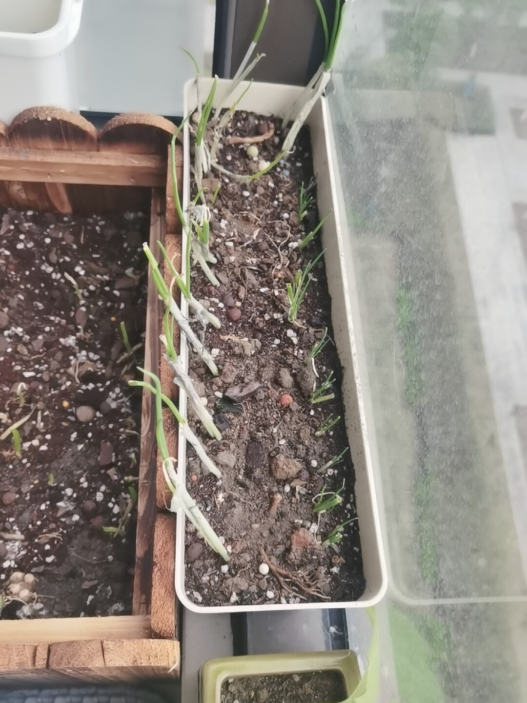 時代　中国　花台　盆栽台　珍品台　細密細工 長條型多肉花盆專用窄邊細長窗臺種植塑料陽臺花盆盆栽