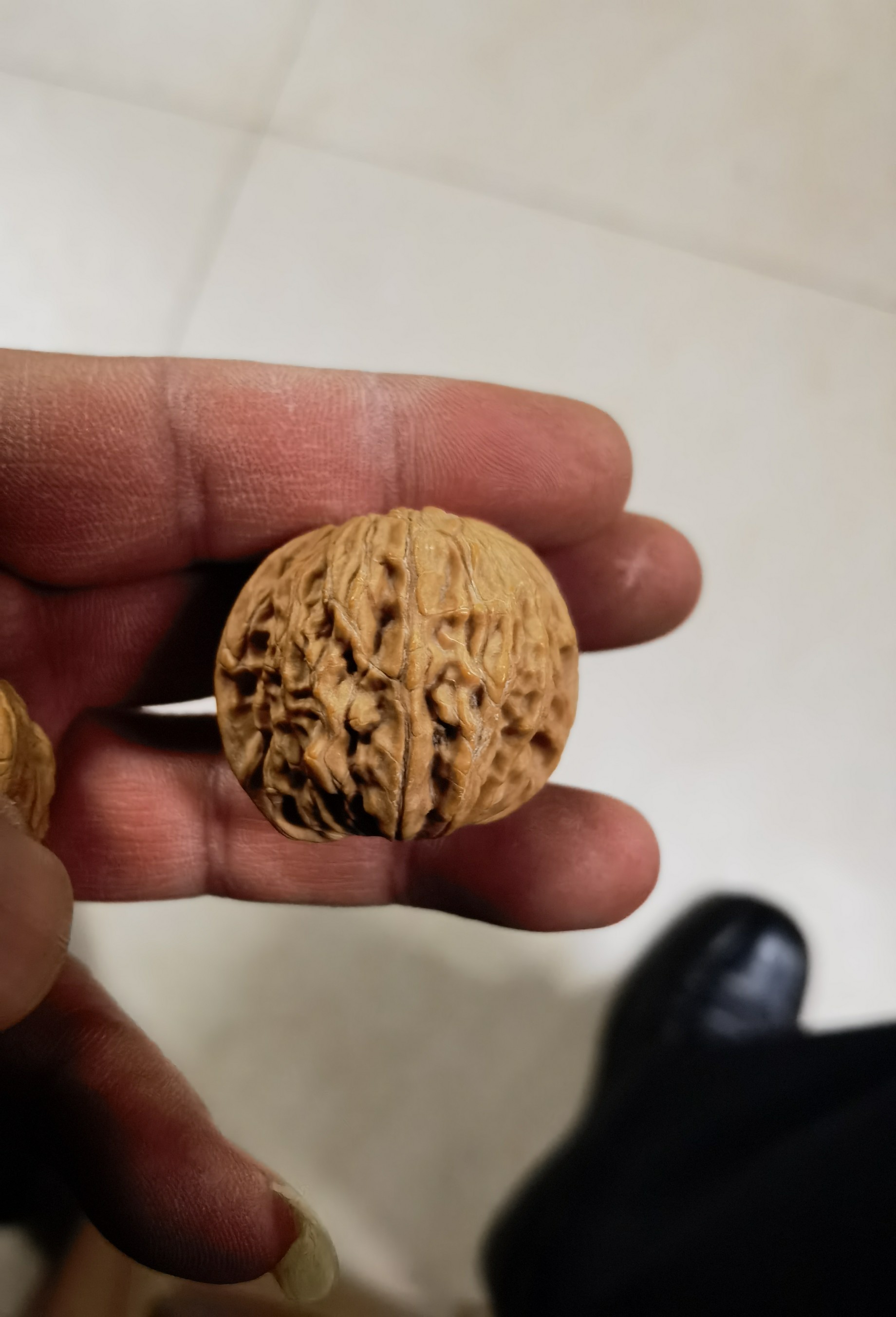 文玩核桃磨盤獅子頭悶尖精品老樹盤玩包漿玉化把玩麻核桃手把件-淘寶