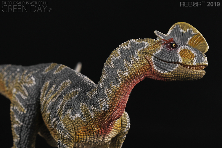 Anh REBOR chính hãng mô hình khủng long mô phỏng đồ chơi Jurassic World đôi vương miện rồng đôi rồng đôi nền tảng - Đồ chơi gia đình đồ chơi trí tuệ cho bé