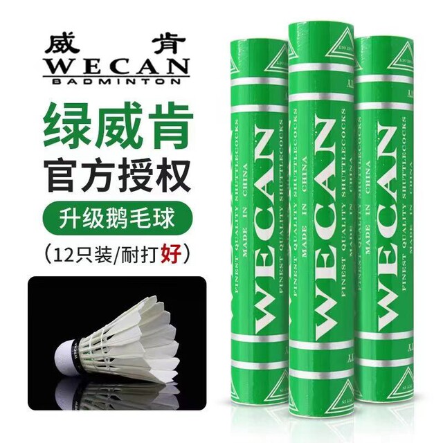 WECAN Badminton Wicken matches with balls