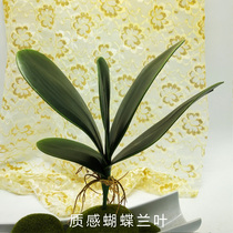 Naughty silk stocking material silk screen flower material hand feel butterfly Lanhua Ye upscale emulation butterfly Lanye