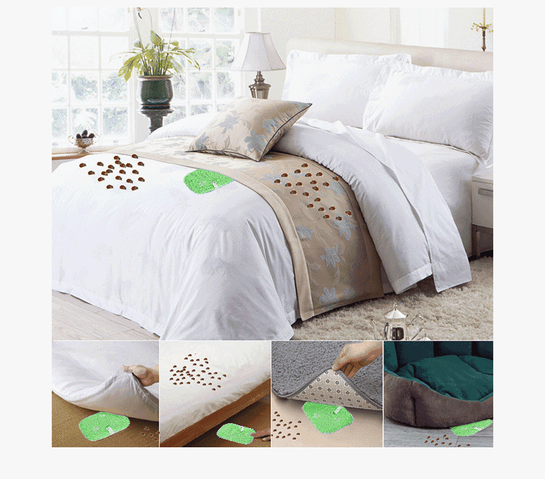 bình xịt côn trùng của nhật	 Nhập khẩu nệm Jinyi ngoài túi vào mạt nhân tạo bộ đệm mút chống mite dùng một lần ngoài xịt đờm - Thuốc diệt côn trùng bình xịt muỗi an toàn cho be