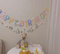 (Meow Meow Props Birthday Party 100 Days Party Colorful Flags Holiday Party Banner Banners Placement of Decorative Items