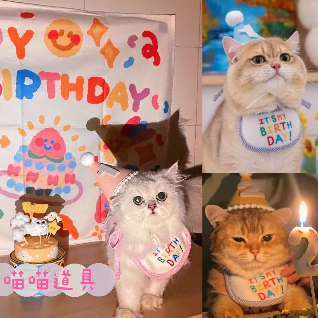 (Meow props) ITSMYBIRTHDAY pet cat dog birthday bib hat hat triangle scarf
