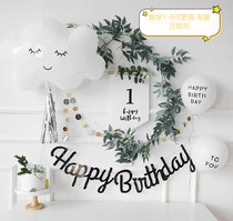 Net Red INS Wind 123-year-old kitty Childrens Baby Birthday Placement Party Photography Groveling Background Wall