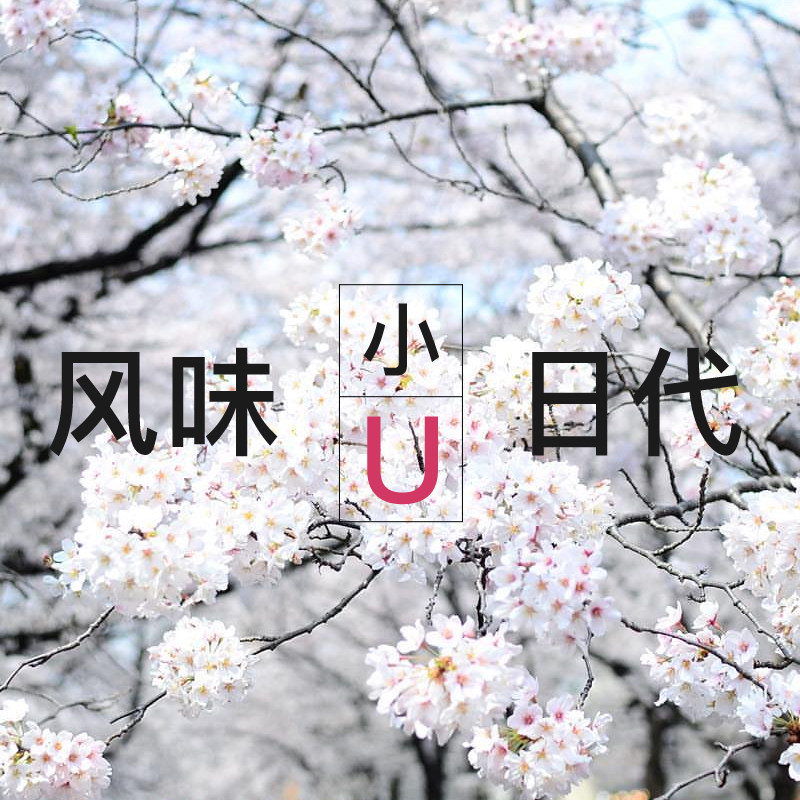 小U风味日代