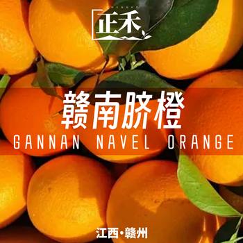 Jiangxi gannan navel oranges, sweet oranges, thin-skinned freshly picked authentic seasonal fruit oranges fresh in season 10 whole boxes wholesale
