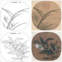 Song sketch Gongbi flowers and birds high-definition electronic version of the white sketch plus color map beginner copy 22 groups