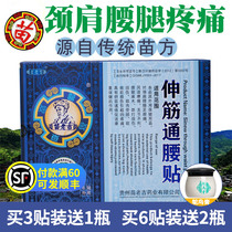 Guizhou Miao Laoji stretching tendons through the waist paste lumbar spine pain relieving pain Sore tennis elbow synovial membrane knee shoulder circumference Buy and send