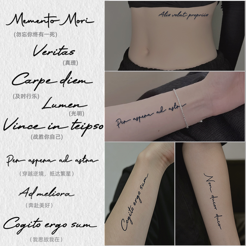 She Draws Latin and English Herbal Tattoo Stickers That Are Waterproof and Long-Lasting, Semi-Permanent for Women and Men, for the Arm and Collarbone, with a High-End Feel She Draws Latin and English Herbal Tattoo Stickers That Are Waterproof and Long-Lasting, Semi-Permanent for Women and Men, for the Arm and Collarbone, with a High-End Feel