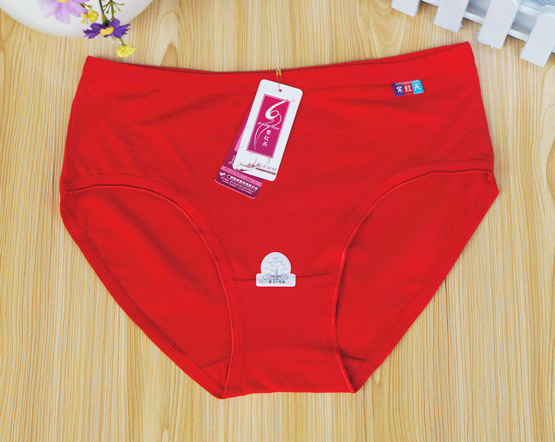 Slip en coton - Ref 640966 Image 16