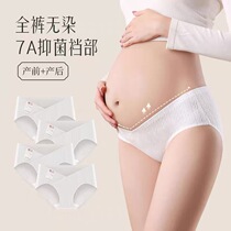Maternity photoshoot pure white low-waisted underwear threaded cotton studio photography pregnant mommy leggings seamless and breathable