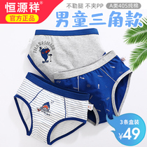 Hengyuanxiang boys underwear triangle cotton summer Middle and big boy baby shorts boy