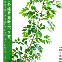 Фильм лист глицинии