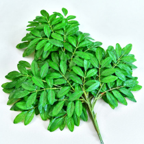 Artificial jujube tree leaves glued fake leaves Single large leaves plastic branches decorative leafy plants Green plant landscaping