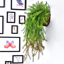 Simulation rosemary hanging wall fake flower plastic flower vine plant decorative rattan hanging orchid wall green plant hanging indoor