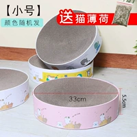 Маленькое круглое гнездо захватывающего кота